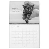 Calendrier Moderne Cute Funny Animal Kitten Chat Photos (Jan 2026)