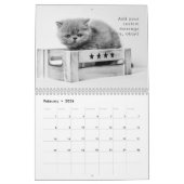 Calendrier Moderne Cute Funny Animal Kitten Chat Photos (Feb 2026)