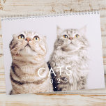 Calendrier Moderne Cute Funny Animal Kitten Chat Photos<br><div class="desc">Le design est composé de photos de chats mignons</div>