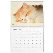 Calendrier Moeurs de moissons : Chats aquarelles adorables (Jan 2026)