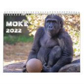 Calendrier Moke 2022 (Protection)