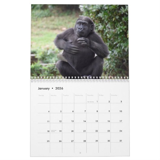 Calendrier Moke 2022 (Jan 2026)