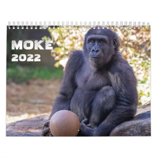 Calendrier Moke 2022