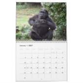 Calendrier Moke 2022 (Jan 2027)