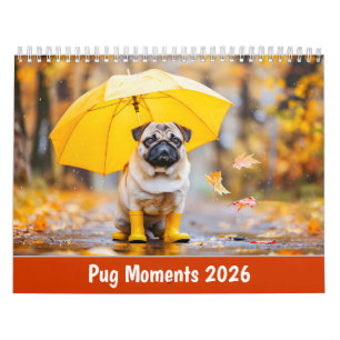 Calendrier Moments de Carlin – Une Année de Charme & de Moust