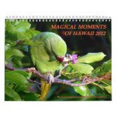 Calendrier Moments magiques d'Hawaï 2012 (Protection)