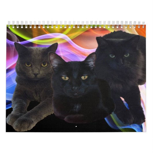 Calendrier Mon trio d'amis (Protection)