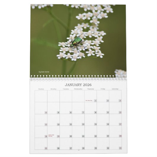 Calendrier Monde de Bugs et Arachnids Déplaisant Crawly (Jan 2026)