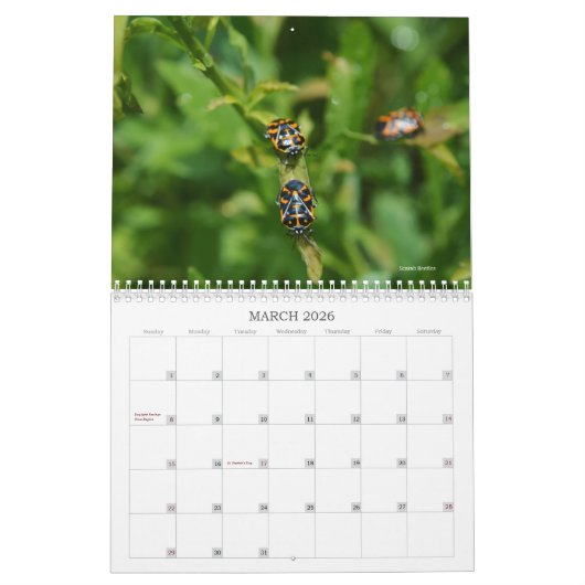 Calendrier Monde de Bugs et Arachnids Déplaisant Crawly (Mar 2026)