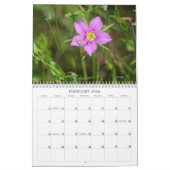 Calendrier Monde de Bugs et Arachnids Déplaisant Crawly (Feb 2026)