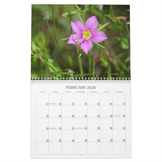 Calendrier Monde de Bugs et Arachnids Déplaisant Crawly (Feb 2026)