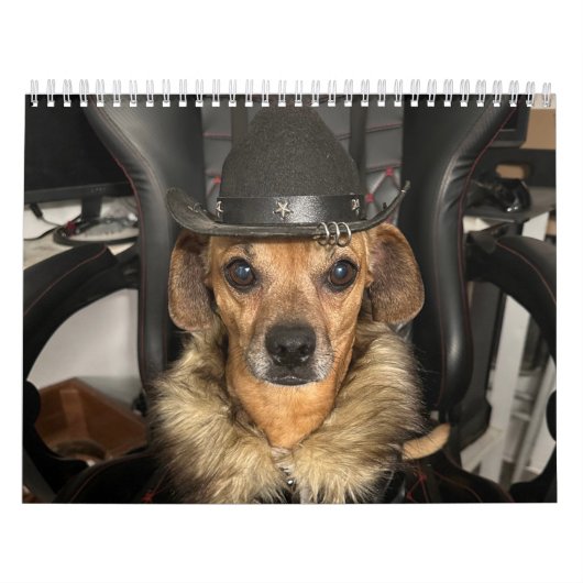Calendrier Monde des Minions (Protection)