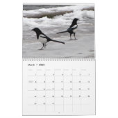 Calendrier Monde des oiseaux 2025 (Mar 2026)