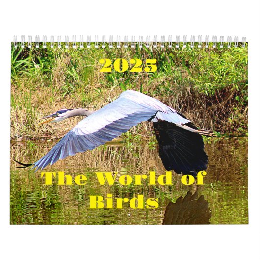 Calendrier Monde des oiseaux 2025 (Protection)