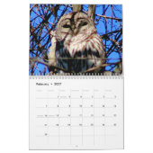 Calendrier Monde des oiseaux 2025 (Feb 2027)