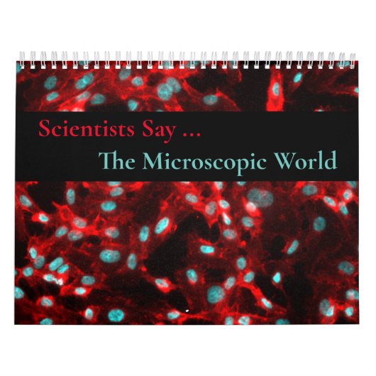 Calendrier mondial microscopique (Protection)