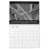 Calendrier mondial microscopique (Mar 2027)