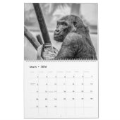 Calendrier Monkey Business (Mar 2026)