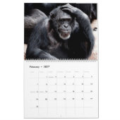 Calendrier Monkey Business (Feb 2027)