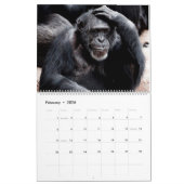 Calendrier Monkey Business (Feb 2026)