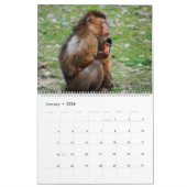 Calendrier Monkey Business (Jan 2026)
