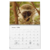 Calendrier Monkey Primate Vine Bienvenue Accueil Destiny Dest (Jan 2026)