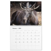 Calendrier Moose Wall Calendar 2026 Wildlife Animals (Feb 2026)