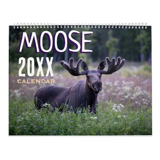 Calendrier Moose Wall Calendar 2026 Wildlife Animals (Protection)