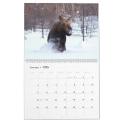 Calendrier Moose Wall Calendar 2026 Wildlife Animals (Jan 2026)