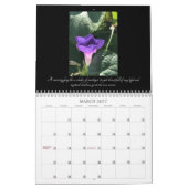Calendrier Morning Glory Beauty:  Chalices of Light 2026 (Mar 2027)