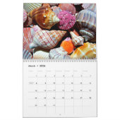 Calendrier Motif Coastal Ocean Sea Shell (Mar 2026)