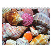Calendrier Motif Coastal Ocean Sea Shell (Protection)