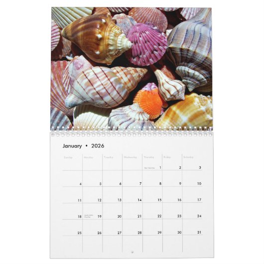 Calendrier Motif Coastal Ocean Sea Shell (Jan 2026)