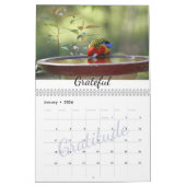 Calendrier Motivation de la photographie de la faune australi (Jan 2026)