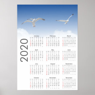 Calendrier Mouette 2020 Affiche