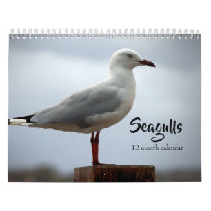 Calendrier Mouettes 2027