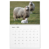 Calendrier Mouton (Mar 2026)
