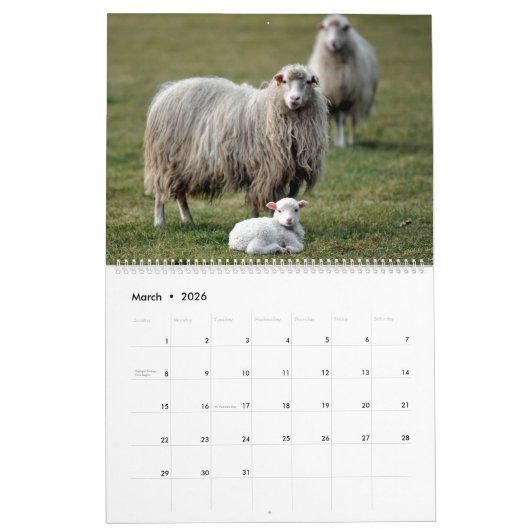 Calendrier Mouton (Mar 2026)