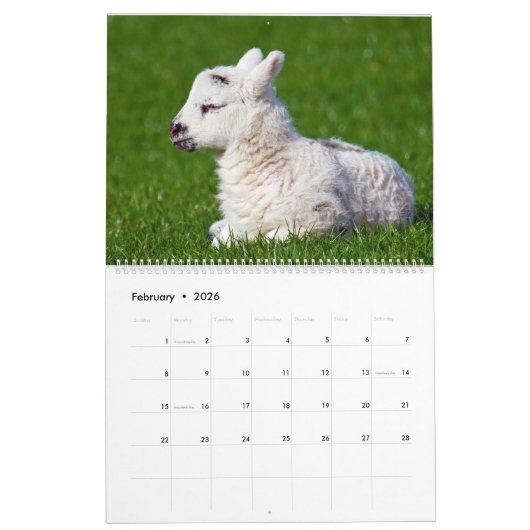 Calendrier Mouton (Feb 2026)