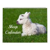 Calendrier Mouton (Protection)