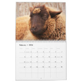 Calendrier Mouton Aimer la vie (Feb 2026)