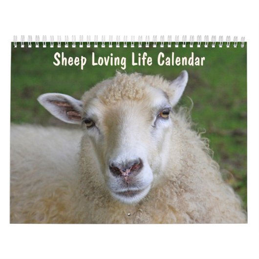 Calendrier Mouton Aimer la vie (Protection)