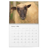 Calendrier Mouton Aimer la vie (Jan 2026)