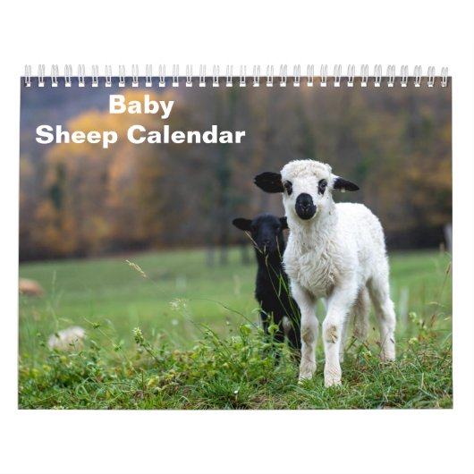 Calendrier Mouton bébé 2026 (Protection)