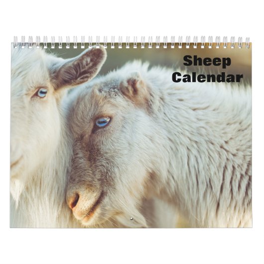 Calendrier moutons 2027 (Protection)