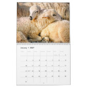 Calendrier moutons 2027 (Jan 2027)