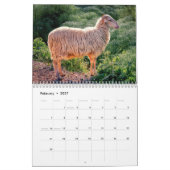 Calendrier moutons 2027 (Feb 2027)