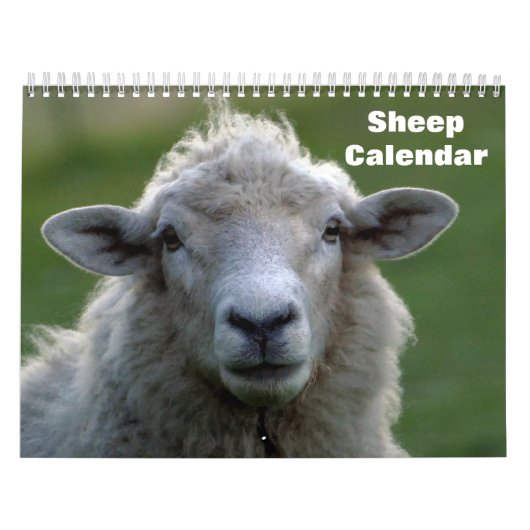 Calendrier Moutons 2027 (Protection)