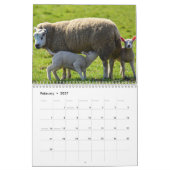 Calendrier Moutons 2027 (Feb 2027)