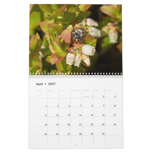 Calendrier moyen de deux pages, calendrier blanc (Apr 2027)